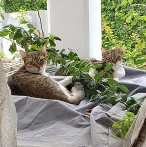 Meet your Posher, Zoe